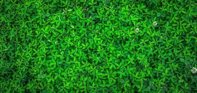 Best Eco-Friendly Travel Products for Sustainable Travel